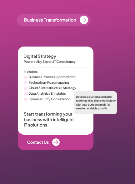 consultancy_service_2_1763119765